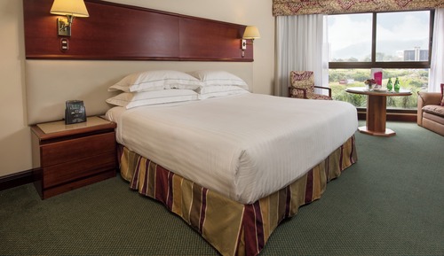 Premium Suite (Level)