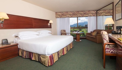 Superior Single Room (Premium Level)