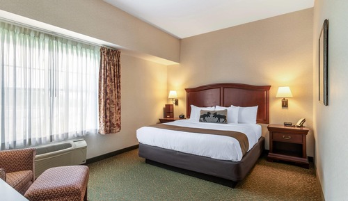 Executive Suite, 1 King Bed with Sofa bed, Non Smoking