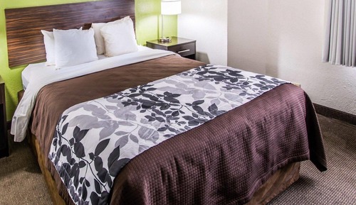 Room, 1 Queen Bed, Accessible, Non Smoking