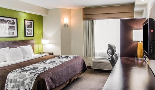Room, 1 King Bed, Non Smoking (Promotional)