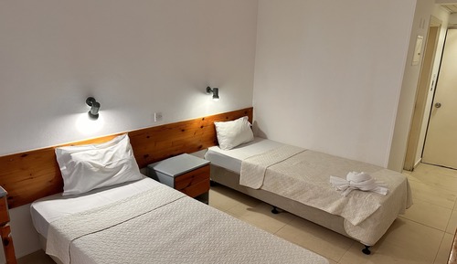 Basic Twin Room