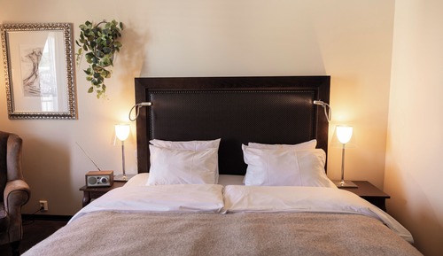 Standard Double Room, Non Smoking (with Sofa Bed)