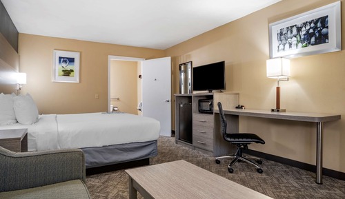 Standard Room, 1 King Bed (Pet Friendly)