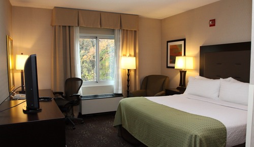Standard Room, 1 King Bed, Accessible (Communications)