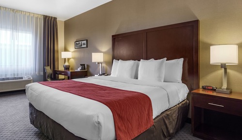 Room, 1 King Bed with Sofa bed, Non Smoking