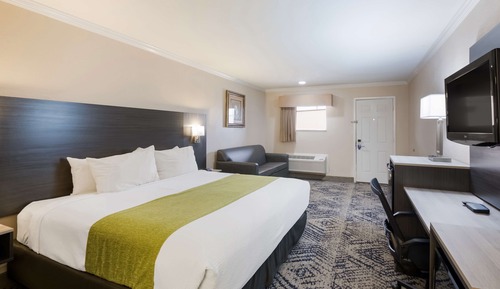 Standard Room, 1 King Bed, Non Smoking, Refrigerator & Microwave (with Sofabed)
