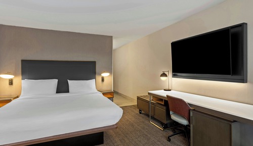 Room, 1 King Bed with Sofa bed