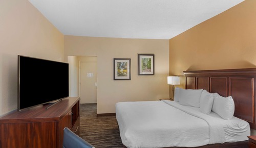 Standard Room, 1 King Bed, Accessible, Refrigerator & Microwave