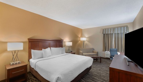 Standard Room, 1 King Bed, Non Smoking, Refrigerator & Microwave