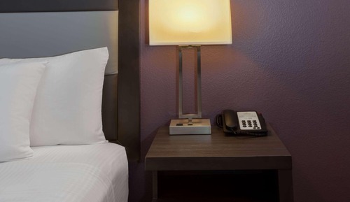 Room, 1 King Bed