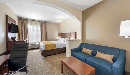 Suite, 1 King Bed with Sofa bed, Non Smoking