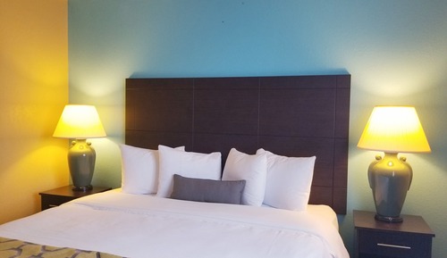 Room, 1 King Bed, Non Smoking