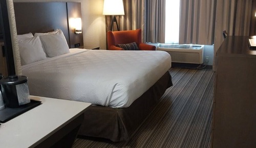 Room, 1 King Bed, Non Smoking