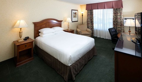 Room, 1 Queen Bed, Accessible (Roll-In Shower)