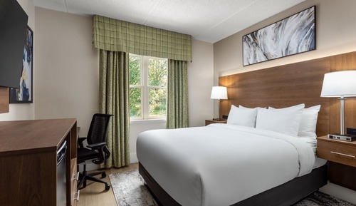 Standard Room, 1 Queen Bed, Accessible
