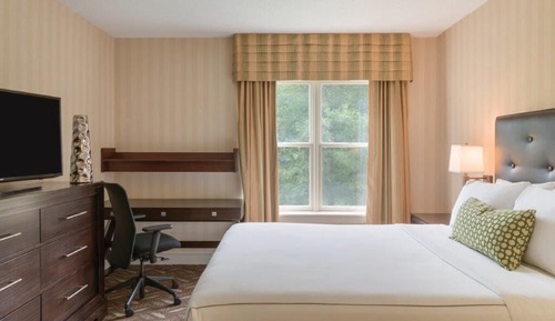 Executive Studio Suite, 1 King Bed with Sofa bed