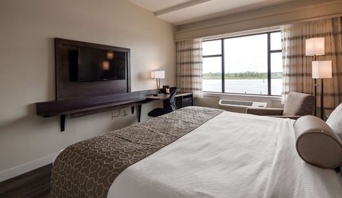 Standard Room, 1 King Bed, Non Smoking