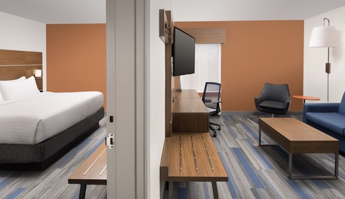 Suite, 1 King Bed with Sofa bed
