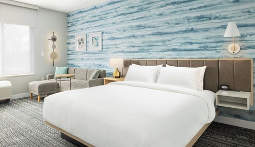 Standard Studio Suite, 1 King Bed (Mobility Accessible, Roll-in Shower)