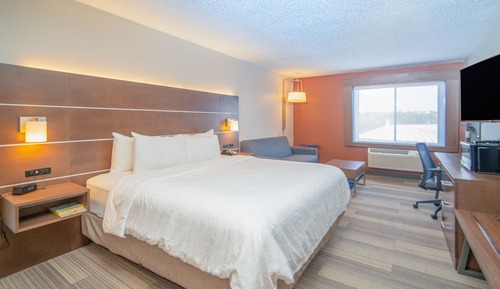 Standard Room, 1 King Bed with Sofa bed