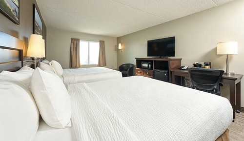 Standard Room, 2 Queen Beds