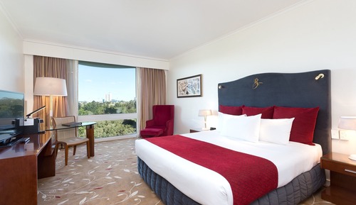 Premium Room, 1 King Bed, Park View
