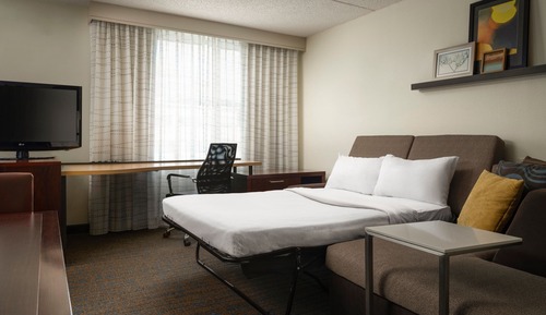 Studio, 1 Queen Bed with Sofa bed