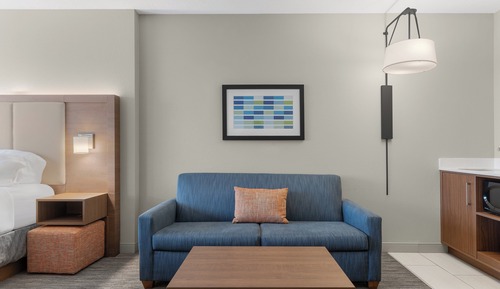 Suite, 1 King Bed with Sofa bed