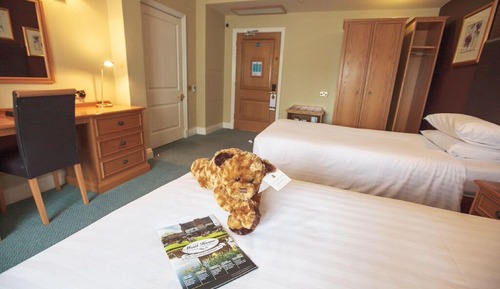 Twin Room, Accessible