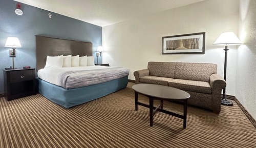 Room, 1 King Bed, Non Smoking