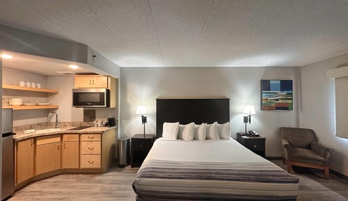 Room, 1 King Bed, Non Smoking (Efficiency)