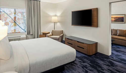 Suite, 1 King Bed with Sofa bed