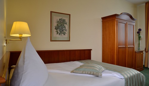 Superior Single Room