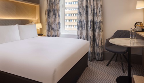 Room, 1 King Bed