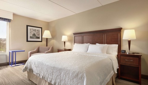 Room, 1 King Bed