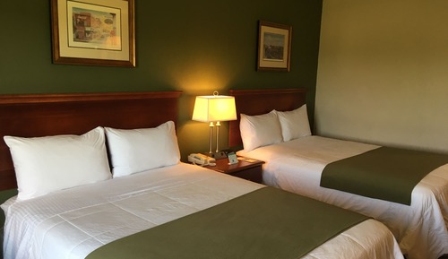 Standard Single Room, 2 Queen Beds