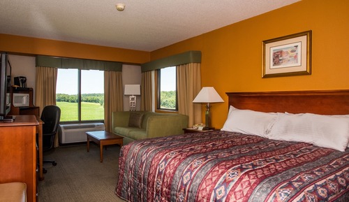 Standard Single Room, 1 King Bed, Mountain View