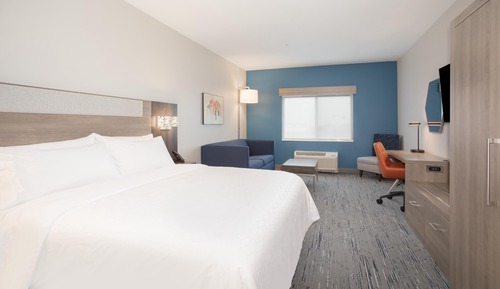 Suite, 1 King Bed with Sofa bed