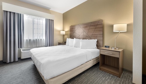 Suite, 1 King Bed, Accessible, Refrigerator & Microwave (with Sofabed)