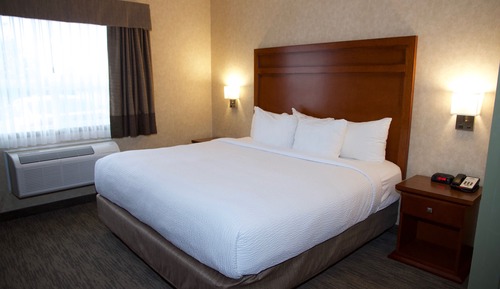 Room, 1 King Bed, Accessible, Non Smoking