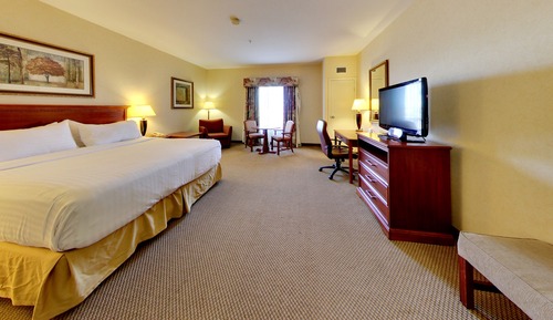 Standard Room, 1 King Bed (Extra Floor Space)
