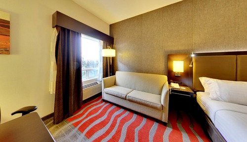 Suite, 1 King Bed with Sofa bed
