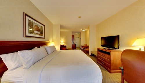 Suite, 1 King Bed