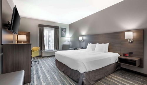 Standard Room, 1 King Bed, Non Smoking