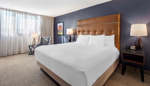 Room, 1 King Bed