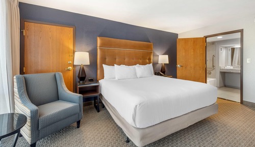 Room, 1 King Bed, Accessible (Roll in Shower)