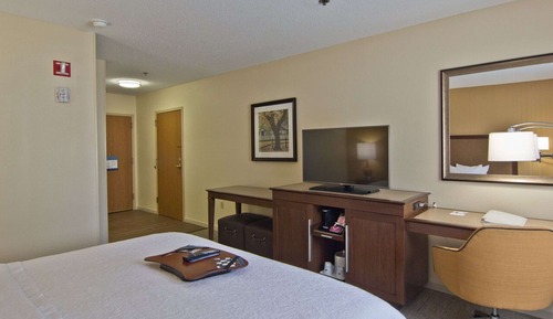 Room, 1 King Bed, Accessible (Roll-in Shower)