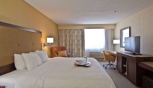 Deluxe Room, 1 King Bed (Shower Only)