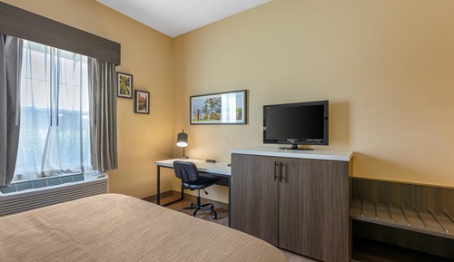 Room, 1 King Bed, Accessible, Non Smoking